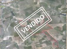 Finca rústica  subasta en &Eacute;cija, Las Islas