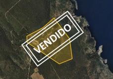 Finca rústica  subasta en Torroella de Montgr&iacute;, Puig de la Palma